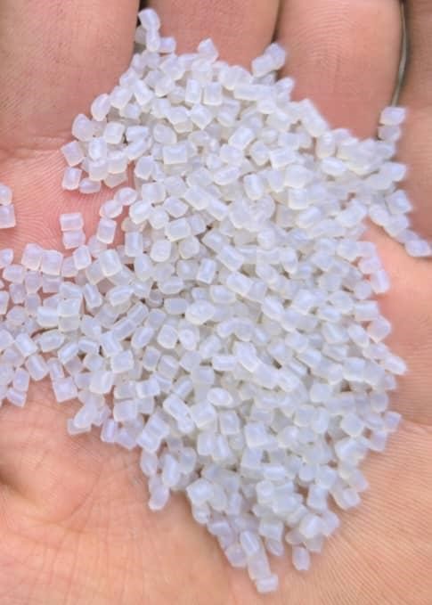 Polypropylene