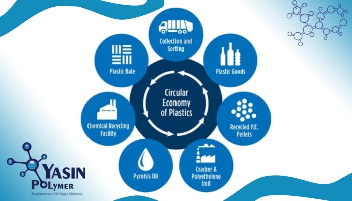 Environmental Impact and The Circular Economy